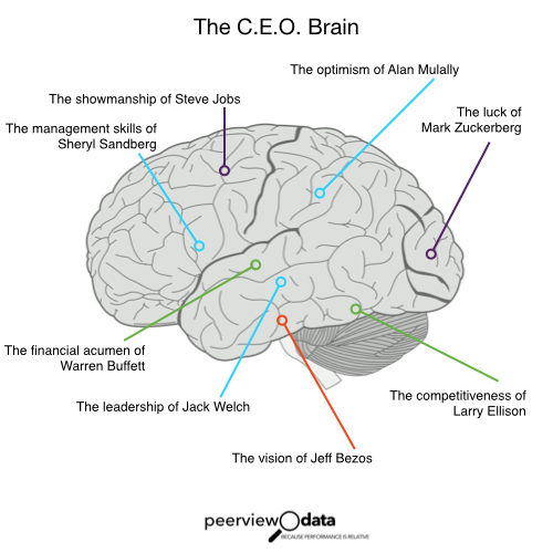 CEO Brain_Peerview Data